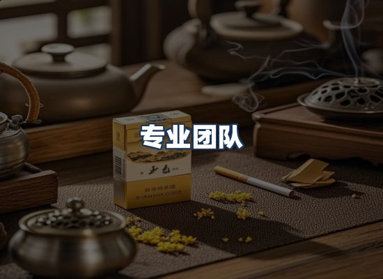 专业团队
